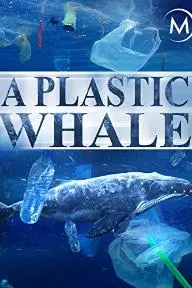 A Plastic Whale_peliplat