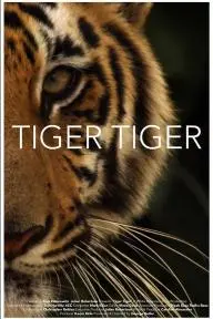 Tiger Tiger_peliplat