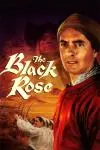 The Black Rose_peliplat