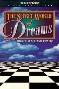 The Secret World of Dreams_peliplat
