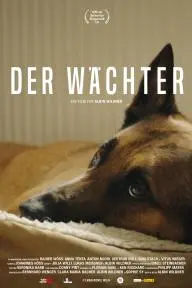 Dogwatch_peliplat