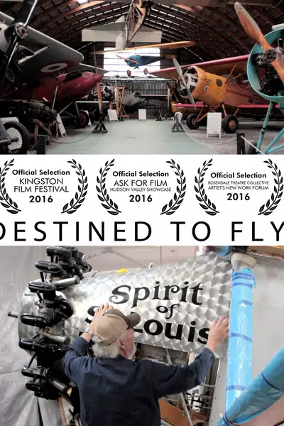 Destined to Fly