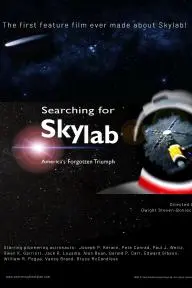 Searching for Skylab_peliplat