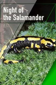 Night of the Salamander_peliplat