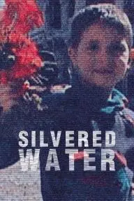 Silvered Water, Syria Self-Portrait_peliplat