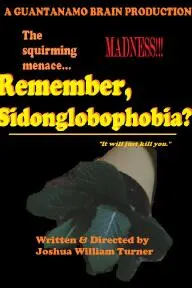 Remember, Sidonglobophobia?_peliplat