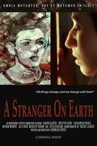 A Stranger on Earth_peliplat