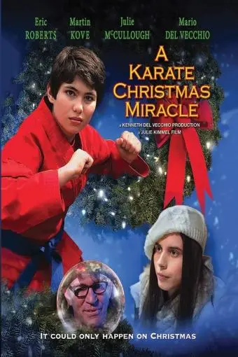 A Karate Christmas Miracle_peliplat