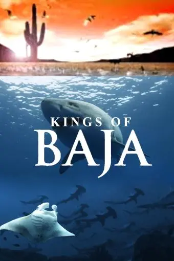 Kings of Baja_peliplat