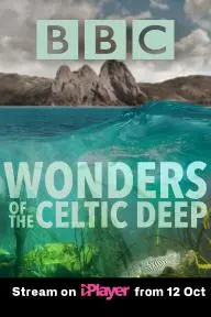 Wonders of the Celtic Deep_peliplat