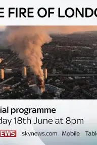 The Fire of London_peliplat