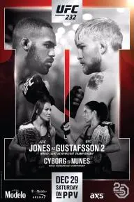 UFC 232: Jones vs Gustafsson 2_peliplat