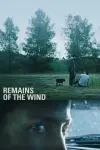 Remains of the Wind_peliplat