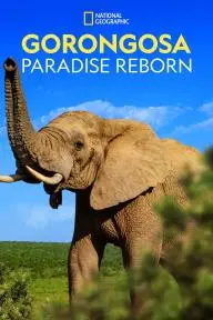 Gorongosa: Paradise Reborn_peliplat