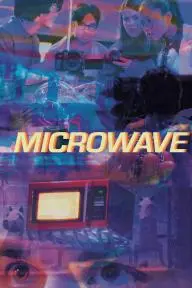 Microwave_peliplat