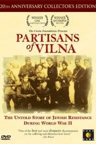 Partisans of Vilna_peliplat