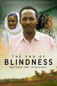The End of Blindness_peliplat