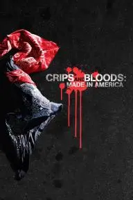 Crips and Bloods: Made in America_peliplat