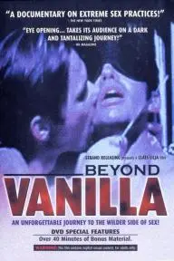 Beyond Vanilla_peliplat