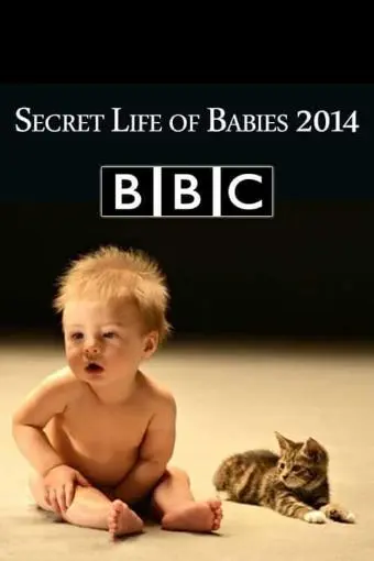Secret Life of Babies_peliplat