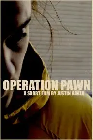 Operation Pawn_peliplat