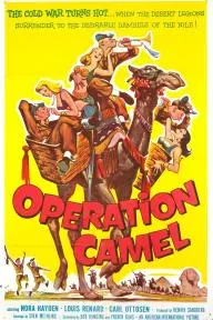 Operation Camel_peliplat