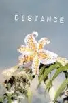 Distance_peliplat