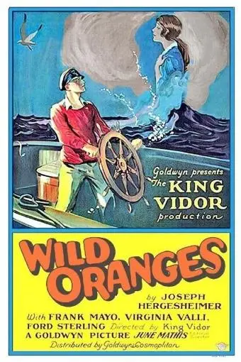 Wild Oranges_peliplat