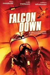 Falcon Down_peliplat