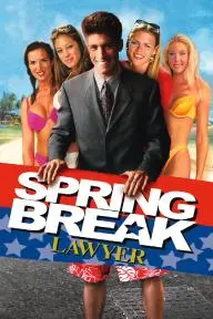 Spring Break Lawyer_peliplat