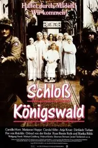 Schloß Königswald_peliplat