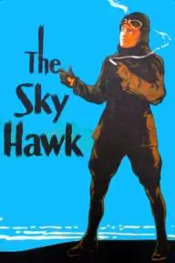 The Sky Hawk_peliplat