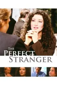The Perfect Stranger_peliplat