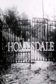 Homesdale_peliplat