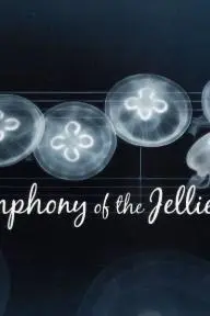 Symphony of the Jellies_peliplat