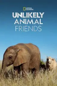 Unlikely Animal Friends_peliplat