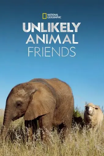 Unlikely Animal Friends_peliplat