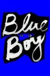 Blue Boy_peliplat