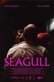 Seagull_peliplat