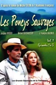 Les poneys sauvages_peliplat