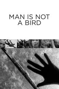 Man Is Not a Bird_peliplat