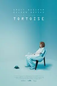 Tortoise_peliplat