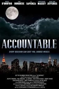 Accountable_peliplat