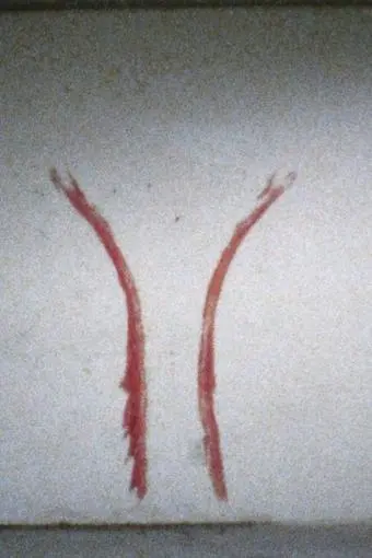 Untitled: Blood Sign No. 2, 'Body Tracks'_peliplat