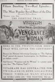 Vengeance - and the Woman_peliplat