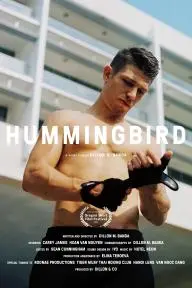 Hummingbird_peliplat