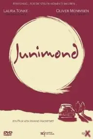 Junimond_peliplat