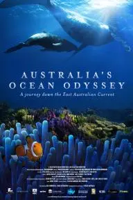 Australia's Ocean Odyssey: A Journey Down the East Australian Current_peliplat