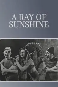 A Ray of Sunshine: An Irresponsible Medley of Song and Dance_peliplat