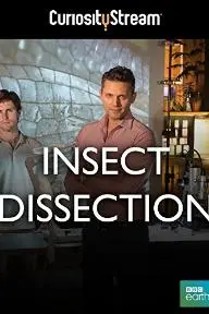Insect Dissection: How Insects Work_peliplat